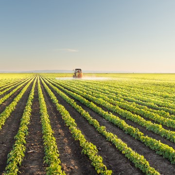 agriculture intellectual property